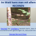 Wald, Rechnen, Mathematik, Fachtagung, Dyskalkulie, Legasthenie, Fachtagung