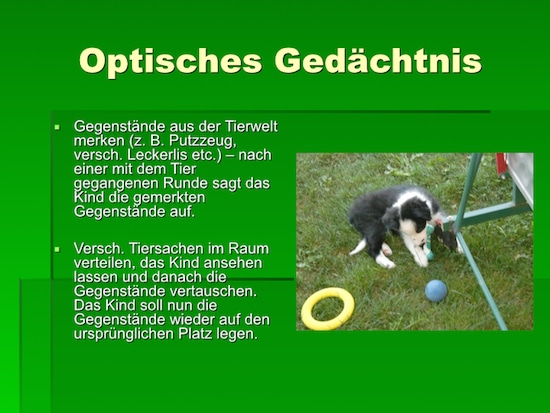 Fachtagung, AFS-Methode, Legasthenie, Dyskalkulie, Michaela Zens, Vortrag, Tiergestütztes Sinneswahrnehmungstraining