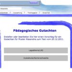 Pädagogisches Gutachten 2-min