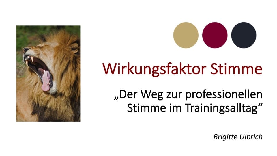 Der Weg zur professionellen Stimme im Trainingsalltag