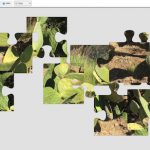 naturpuzzles2