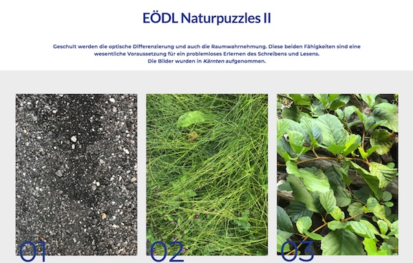 LUD V: Spiele: Naturpuzzles (8)