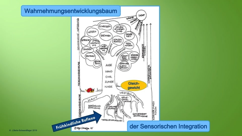 Fachtagung 2019, Legasthenie, Dyskalkulie, Legasthenietraining, Dyskalkulietraining, AFS-Methode, EÖDL, lesen, rechnen, schreiben, Feinmotorik, Sinneswahrnehmungen, differente Sinneswahrnehmungen, Legasthenie ist keine Krankheit, Dyskalkulie ist keine Krankheit, Lernen kann man lehrer, Lerndidaktiker, Neurofeedback, Rechtschreibstrategien