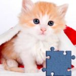 Cat_Puzzle